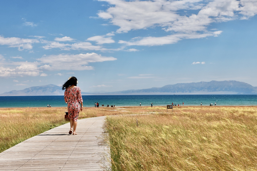 plage argelès-sur-mer